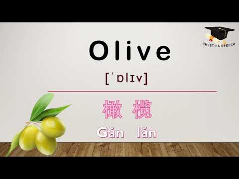 {水果英文}Olive 橄榄 【Types of fruits Chinese Pinyin】