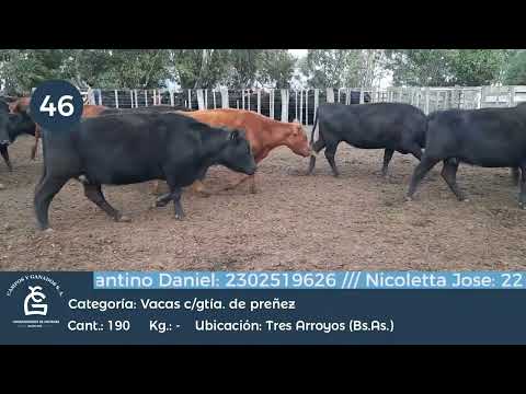 Lote Vc CGP - Tres Arroyos Bs As