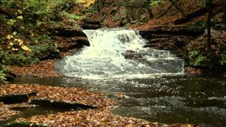 preview picture of video 'Cottonwood Falls, Loyalsock State Forest, Forksville, PA'