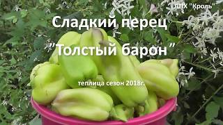 Перец Рыжий Барин Описание Сорта Фото Отзывы Перец Рыжий Барин Описание Сорта Фото Отзывы