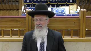 הגאון הרב אברהם יוסף שליט"א דיני והלכות תענית אסתר תשפ"ה (הערוץ של הרב אברהם יוסף) - התמונה מוצגת ישירות מתוך אתר האינטרנט יוטיוב. זכויות היוצרים בתמונה שייכות ליוצרה. קישור קרדיט למקור התוכן נמצא בתוך דף הסרטון