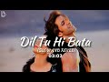 Dil Tu Hi Bata [SlowAndReveb] Krrish 3 l Hrithik Roshan Alisha Chinai l Zubben Garag l love song