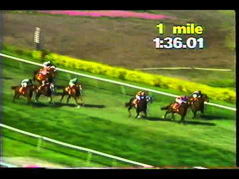 1992 Rolling Green Handicap - Notorious Pleasure