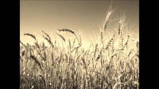 Download lagu Raysha song mp3 Download lagu Raysha song mp3