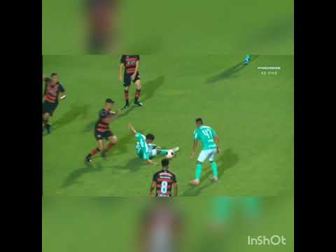 Show do bigode, Palmeiras 4 x 0 Oeste, melhores momentos