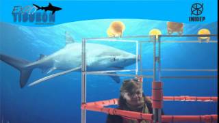 DIA 2 Expo Tiburon256