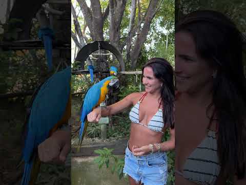 Em Cavalcante na Chapada dos Veadeiros/GO.