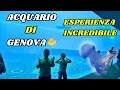 Alla Scoperta Dei Segreti Dell Acquario Di Genova Un Avventura In Famiglia
