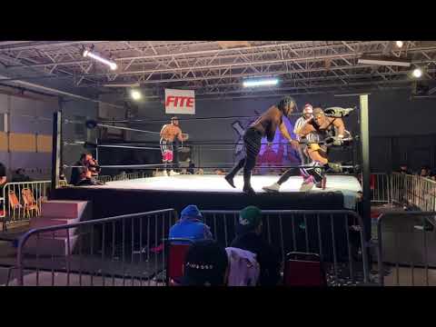 Waves & Curls vs Prolific 2