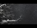 Рома Фандорин - Февраль 