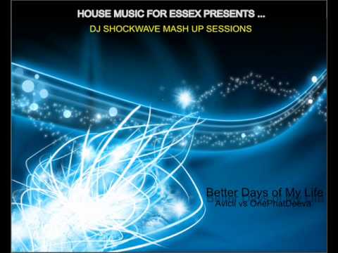 Avicii vs OnePhatDeeva - Better Days of My Live (DJ ShockWave MashUp 2010)