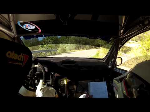 SALVINI TAGLIAFERRI RENAULT NEW CLIO R/R3C RALLY DI REGGELLO 2014