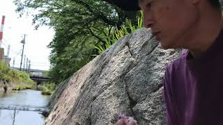 川魚に米粒をあげる ソレーネ周南 山口県 から揚げ テイクアウト