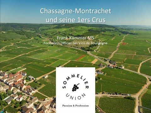 Frank Kämmer MS beleuchtet Chassagne-Montrachet und seine 1ers Crus
