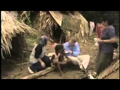 download lagu mp3 mp4 Eva Mitocondrial, download lagu Eva Mitocondrial gratis, unduh video klip Eva Mitocondrial