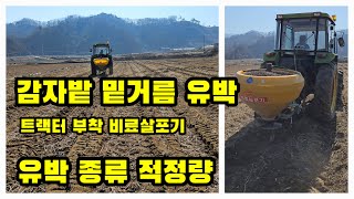 감자밭 준비 밑거름 유박살포 트랙터 부착형 비료 살포기로 밑거름 유박 적정량 품종 새롬유박 신성아그로 [감자…