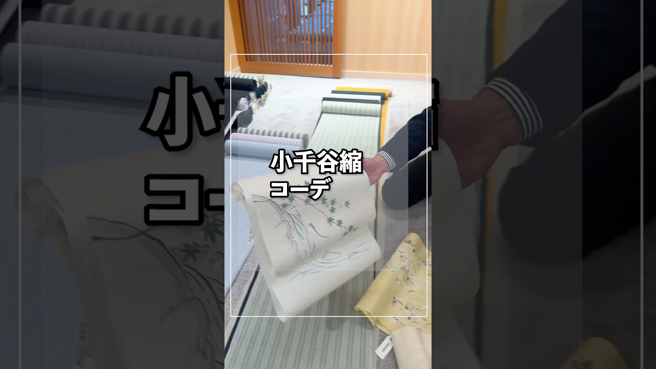小千谷縮コーディネート！夏物仕入れ加速中　 #着物 #着物バイヤー野瀬 #shorts