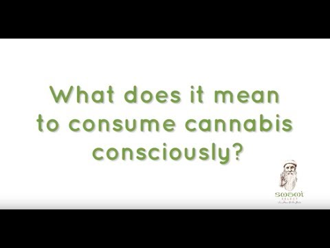 What does it mean to consume cannabis consciously? : Swami Select