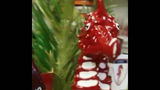 il-buon-compleanno-salernitana-del-maestro-savastano