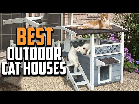 Top 10 Best Outdoor Cat Houses in 2022 Reviews