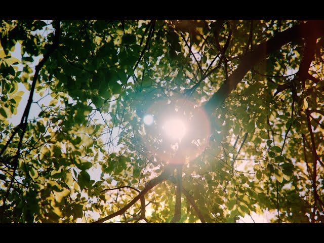 Anly、初夏の光を切り取った映像美溢れるミュージックビデオが公開!サブスク配信開始!(本人コメントあり) 3 YouTubeサムネイル