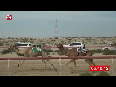  ش 3 (مرحب) لـ خليفه سلطان بالرشيد السويدي 9:31 , شارة الديوان 2026/03/07 ثنايا سمحه