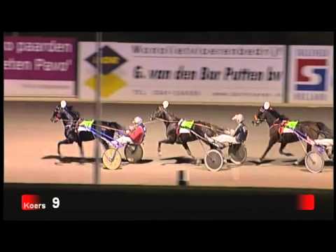 Victoria Park Wolvega 3-11- 2012 koers 9 LINDO EDEN - A. BAKKER BREEDERS CROWN HENGSTEN  2012