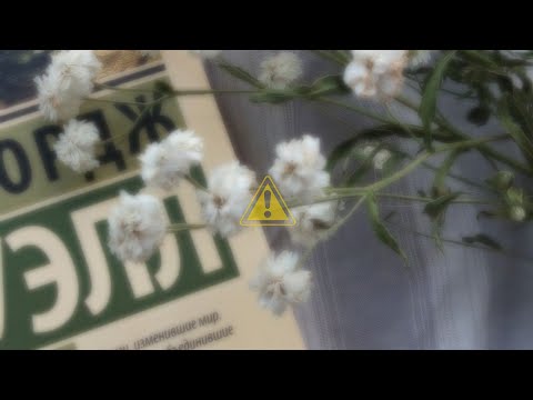 ⚠️ “ irresistible ” — everyone's obsession ! (ultra detailed) ! use at ur own risk . . .  ୨୧