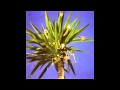We Have Seen the Enemy - Mountain Goats