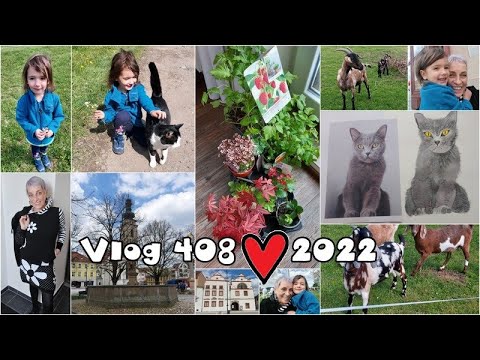 Vlog 408/22 - kočka, Soběslav, Anička, kozy a zahradnictví