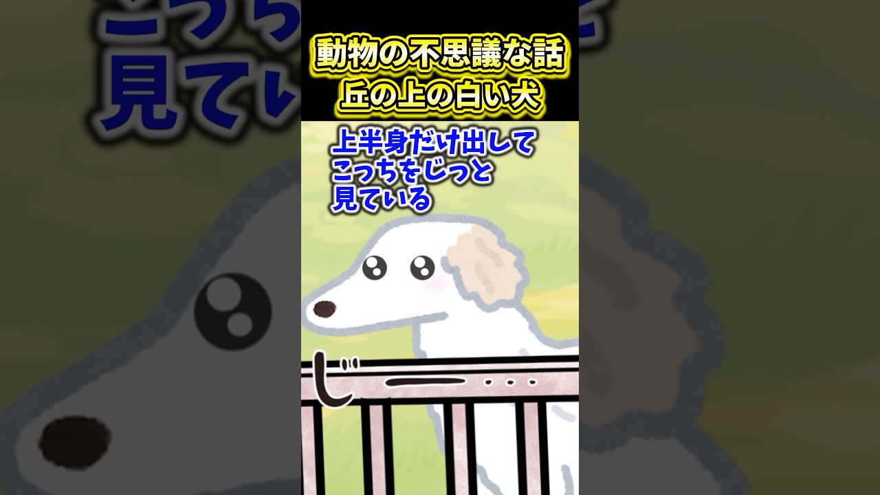 動物の不思議な話〜丘の上の白い犬〜【2ch動物スレ】