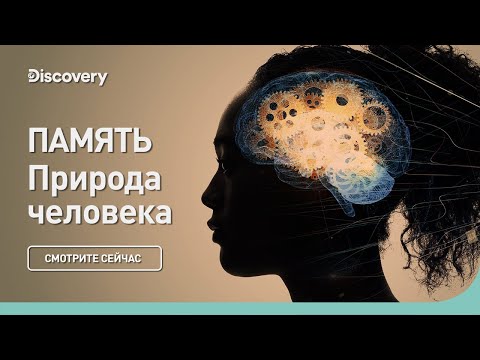 Память | Природа человека | Discovery