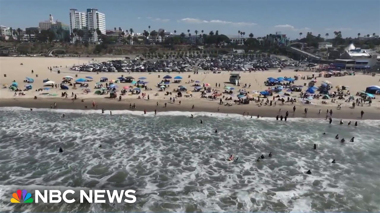 Video: NBC reports Vibrio vulnificus cases after Florida teen infection and 2026 Gulf deaths
