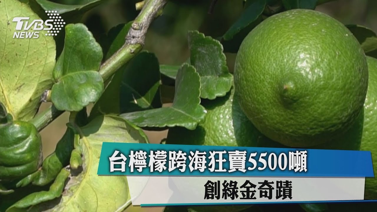 台檸檬跨海狂賣5500噸 創綠金奇蹟