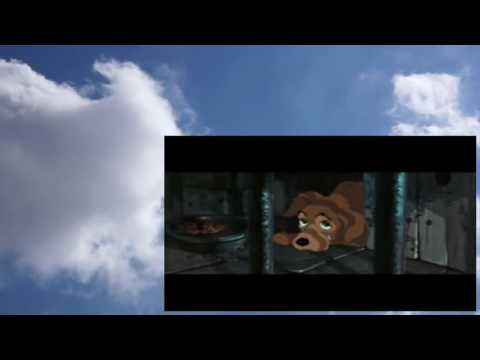 Coral de cachorros - A Dama e o Vagabundo