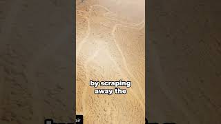Mystery in the Desert - Marree Man - A Hidden Geoglyph Revealed #shorts #marreeman #geoglyphs