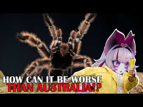NOWHERE Is Safe?! | Why the Amazon Makes Australia Look Like a Joke | Casual Geographic Reaction