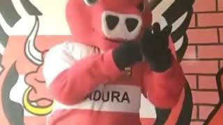 Download lagu K cong mania mp3