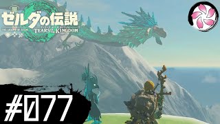 【ティアキン＃77】凡人が行く龍泪旅
