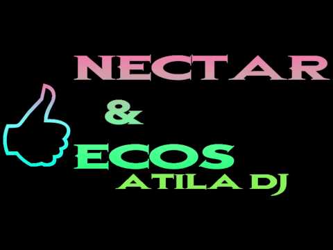 CUMBIAS MIX (NECTAR & ECOS) 2013)   DJ ATILA