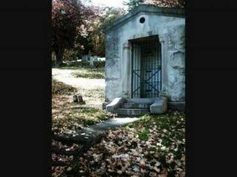 Sara Noxx - Describe it again