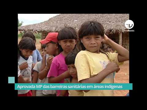 Aprovada MP das barreiras sanitárias em áreas indígenas - 27/05/21