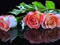 Очаровательные розы для милых женщин! 