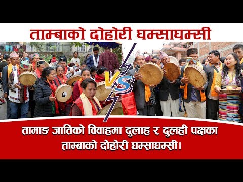 TAMBA DUET BRIDE & GROOM ll तामाङ जातिको विवाहमा दुलाह र दुलही पक्षका ताम्बाको दोहोरी ।