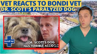 Vet Reacts to Bondi Vet Episode