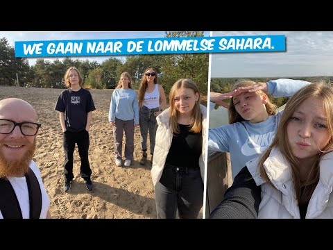 Ontdek de Lommelse Sahara: Een Stukje Woestijn in België! 🏜️✨