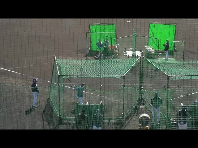 【春季キャンプ】ライオンズドラ2ルーキー・渡部聖弥がランチ打撃で柵越え連発!!  2025年2月9日 埼玉西武ライオンズ