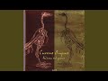 Electro Embryo - Original Version