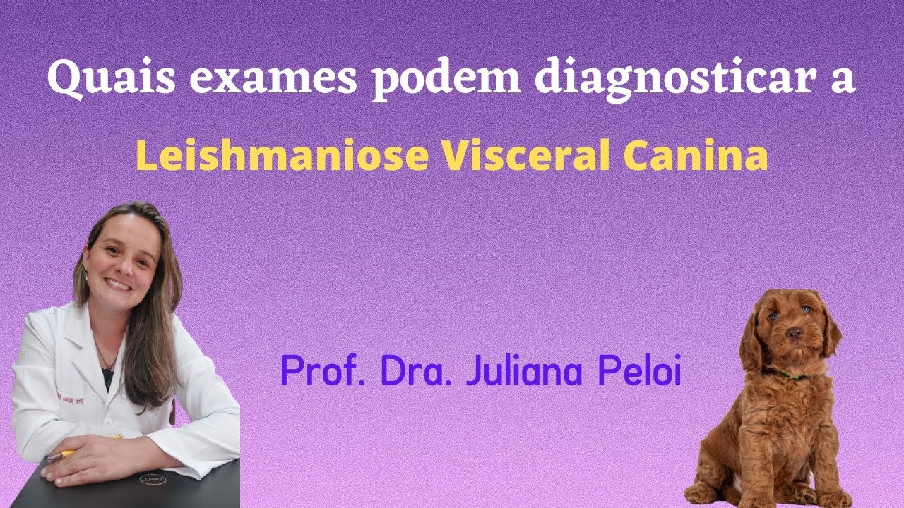 Quais exames podem diagnosticar a Leishmaniose Visceral Canina