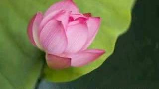 White Tara Mantra (with words)